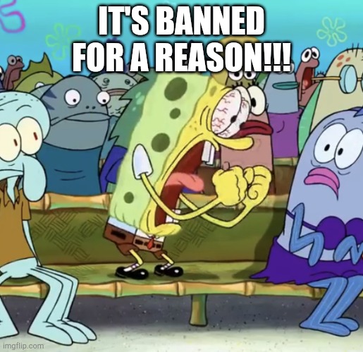 Spongebob Yelling | IT'S BANNED FOR A REASON!!! | image tagged in spongebob yelling | made w/ Imgflip meme maker