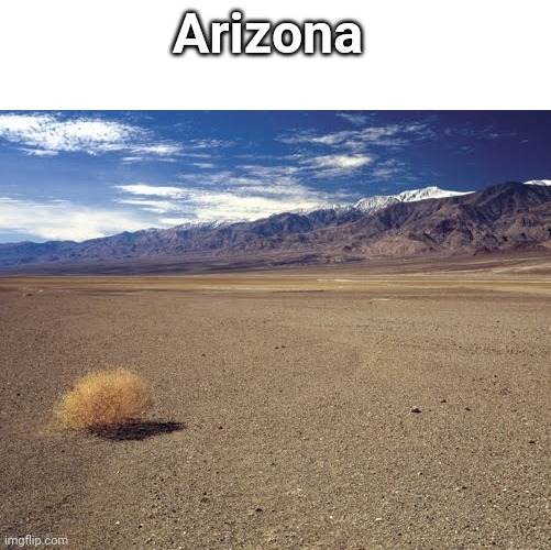 desert tumbleweed | Arizona | image tagged in desert tumbleweed | made w/ Imgflip meme maker