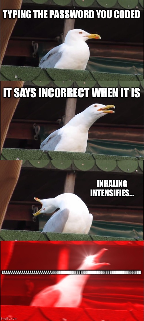 why just… WHY BRO EVERYTIME | TYPING THE PASSWORD YOU CODED; IT SAYS INCORRECT WHEN IT IS; INHALING INTENSIFIES…; RAAAAAAAAAAAAAAAAAAAAAAAAHHHHHHHHHHHHHHHHHHHHHHHHHHHHHHHHHHHHHHHHHHH | image tagged in memes,inhaling seagull | made w/ Imgflip meme maker