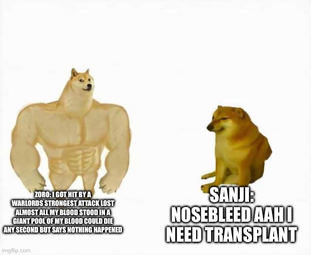 Strong dog vs weak dog | ZORO: I GOT HIT BY A WARLORDS STRONGEST ATTACK LOST ALMOST ALL MY BLOOD STOOD IN A GIANT POOL OF MY BLOOD COULD DIE ANY SECOND BUT SAYS NOTHING HAPPENED; SANJI: NOSEBLEED AAH I NEED TRANSPLANT | image tagged in strong dog vs weak dog | made w/ Imgflip meme maker