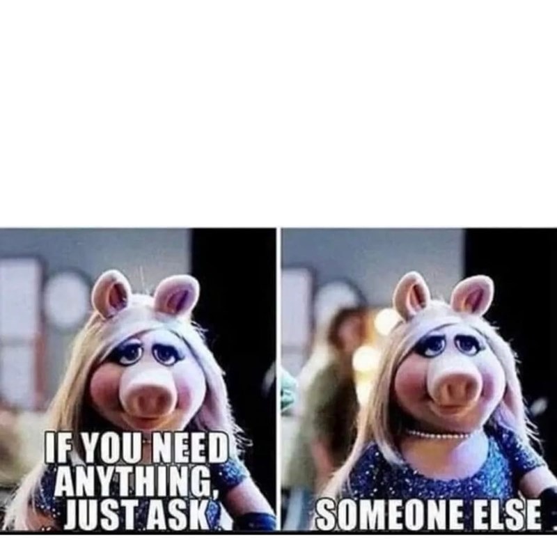 Miss Pig Blank Meme Template
