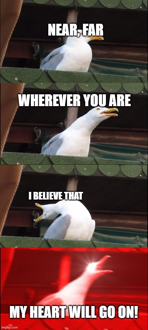 Celine DION singing out... | NEAR, FAR; WHEREVER YOU ARE; I BELIEVE THAT; MY HEART WILL GO ON! | image tagged in memes,inhaling seagull,titanic,titanic sinking,my heart will go on | made w/ Imgflip meme maker