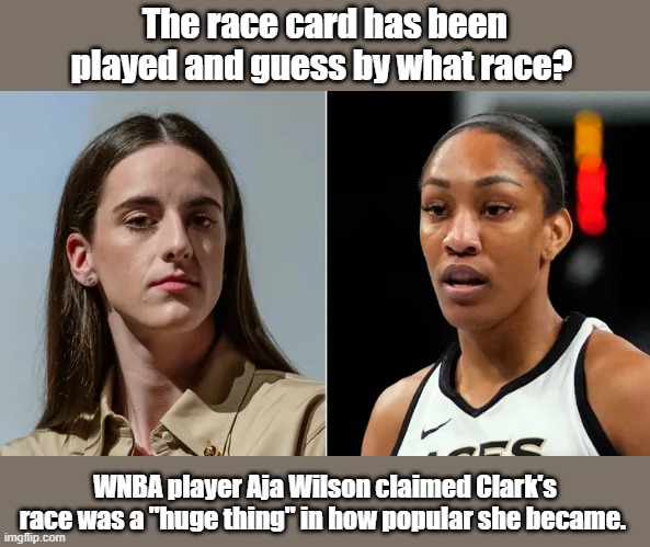 I Don't want to watch either DEMs have destroyed sports | The race card has been played and guess by what race? WNBA player Aja Wilson claimed Clark's race was a "huge thing" in how popular she became. | image tagged in democrats,whiners | made w/ Imgflip meme maker
