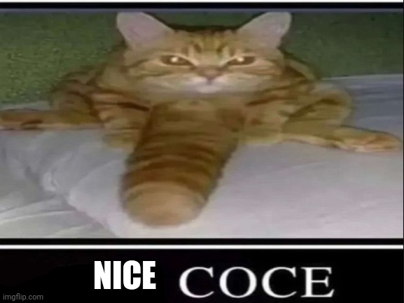 BIG COCE | NICE | image tagged in big coce | made w/ Imgflip meme maker