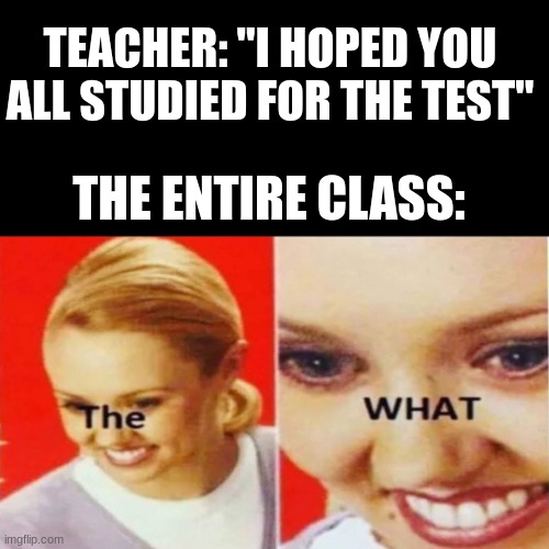 The What | TEACHER: "I HOPED YOU ALL STUDIED FOR THE TEST"; THE ENTIRE CLASS: | image tagged in the what,test,school | made w/ Imgflip meme maker