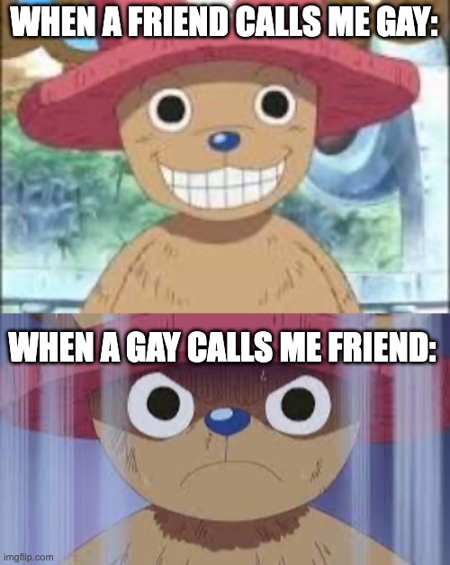 WHEN A FRIEND CALLS ME GAY:; WHEN A GAY CALLS ME FRIEND: | image tagged in chopper smiling,angry chopper 2 | made w/ Imgflip meme maker