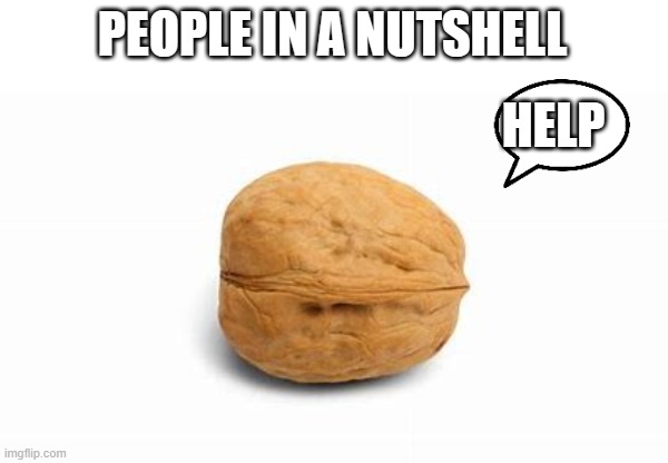 PEOPLE IN A NUTSHELL; HELP | made w/ Imgflip meme maker