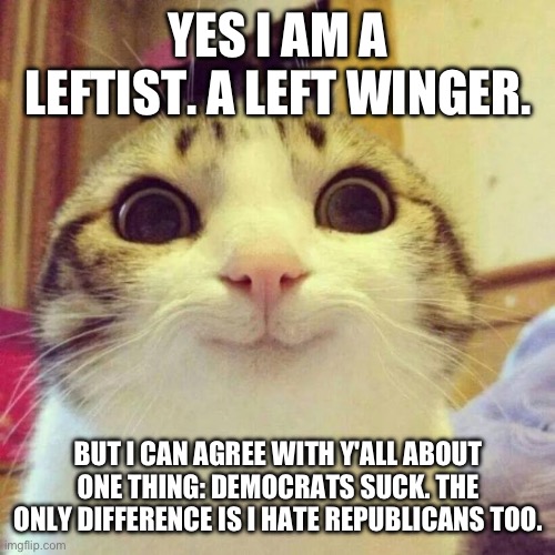 It said no liberal memes and I hate liberals | YES I AM A LEFTIST. A LEFT WINGER. BUT I CAN AGREE WITH Y'ALL ABOUT ONE THING: DEMOCRATS SUCK. THE ONLY DIFFERENCE IS I HATE REPUBLICANS TOO. | image tagged in memes,smiling cat,liberals,leftist,liberal | made w/ Imgflip meme maker