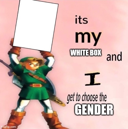 It's my ... and I get to choose the ... | WHITE BOX GENDER | image tagged in it's my and i get to choose the | made w/ Imgflip meme maker