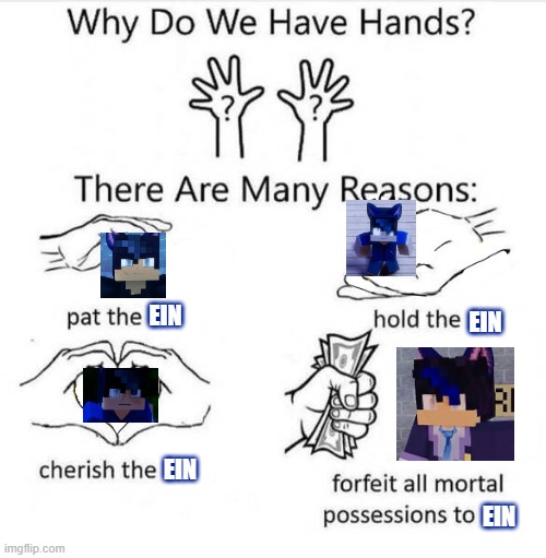 I really like Ein (mystreet) | EIN; EIN; EIN; EIN | image tagged in why do we have hands | made w/ Imgflip meme maker