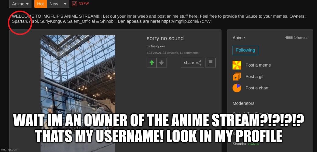 WAIT WHAT?!?!??!??! | WAIT IM AN OWNER OF THE ANIME STREAM?!?!?!?
THATS MY USERNAME! LOOK IN MY PROFILE | image tagged in this tag is not important,black flash | made w/ Imgflip meme maker