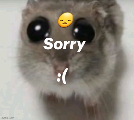 Sorry hampter | image tagged in hampter | made w/ Imgflip meme maker