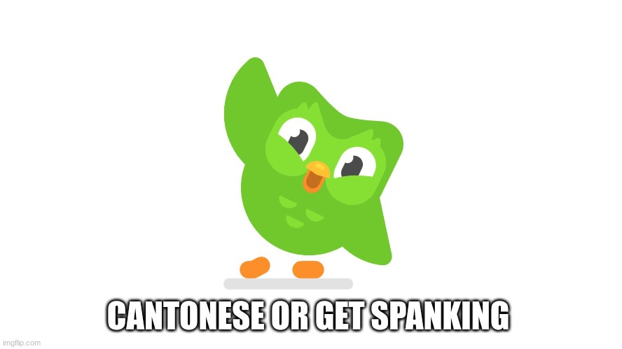 is it correct? | CANTONESE OR GET SPANKING | image tagged in doulingo | made w/ Imgflip meme maker