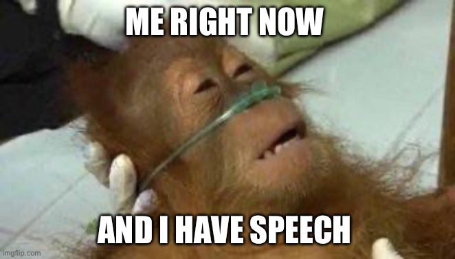 Sick Orangutan | ME RIGHT NOW; AND I HAVE SPEECH | image tagged in sick orangutan | made w/ Imgflip meme maker