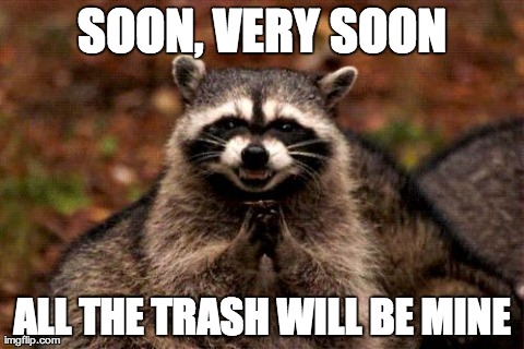 Evil Plotting Raccoon | SOON, VERY SOON ALL THE TRASH WILL BE MINE | image tagged in memes,evil plotting raccoon | made w/ Imgflip meme maker