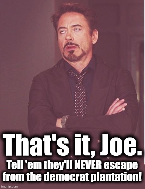 Face You Make Robert Downey Jr Meme | That's it, Joe. Tell 'em they'll NEVER escape from the democrat plantation! | image tagged in memes,face you make robert downey jr | made w/ Imgflip meme maker