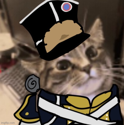 Day 9 of cats in Guts and Blackpowder uniforms | image tagged in gutsandblackpowder,memes,cats,roblox | made w/ Imgflip meme maker