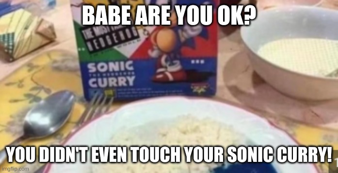 funni | BABE ARE YOU OK? YOU DIDN'T EVEN TOUCH YOUR SONIC CURRY! | image tagged in funni | made w/ Imgflip meme maker