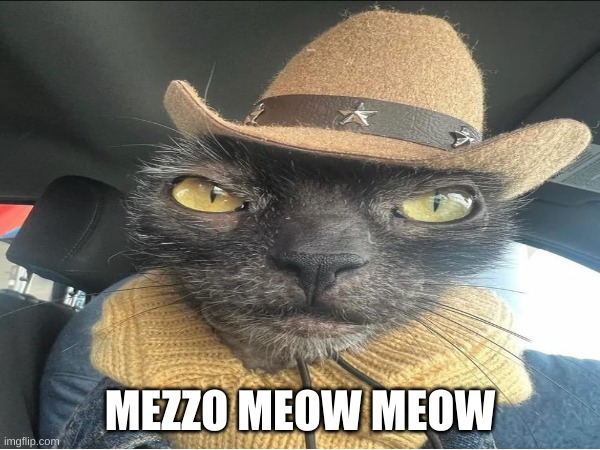 Mezzo Meow Meow | MEZZO MEOW MEOW | image tagged in funny meme | made w/ Imgflip meme maker