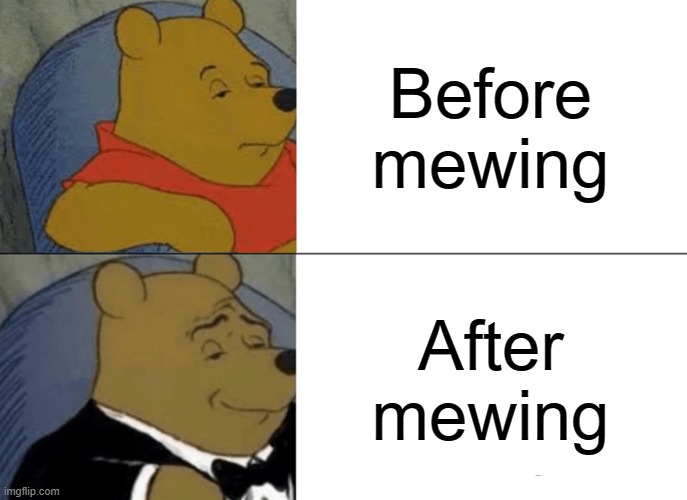 Mewing | Before mewing; After mewing | image tagged in memes,tuxedo winnie the pooh | made w/ Imgflip meme maker