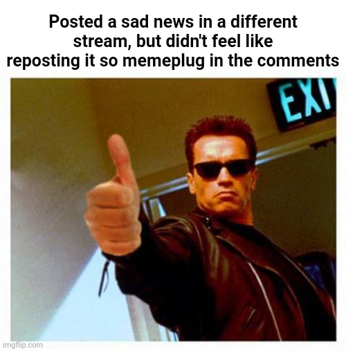terminator thumbs up | Posted a sad news in a different stream, but didn't feel like reposting it so memeplug in the comments | image tagged in terminator thumbs up | made w/ Imgflip meme maker