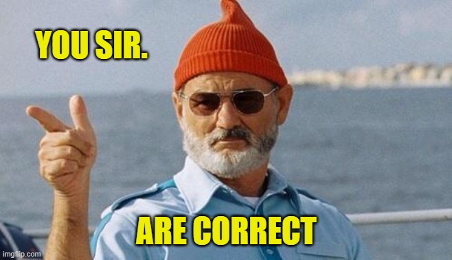 Bill Murray wishes you a happy birthday | YOU SIR. ARE CORRECT | image tagged in bill murray wishes you a happy birthday | made w/ Imgflip meme maker