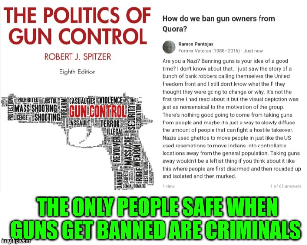 Funny | THE ONLY PEOPLE SAFE WHEN GUNS GET BANNED ARE CRIMINALS | image tagged in funny | made w/ Imgflip meme maker