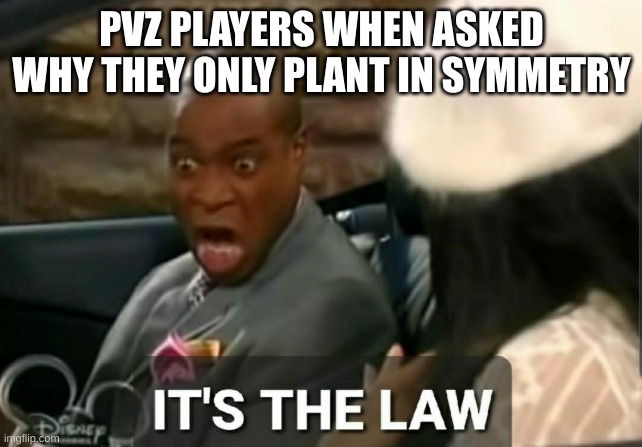 It's the law | PVZ PLAYERS WHEN ASKED WHY THEY ONLY PLANT IN SYMMETRY | image tagged in it's the law | made w/ Imgflip meme maker