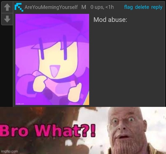 image tagged in mod abuse,thanos - bro what | made w/ Imgflip meme maker