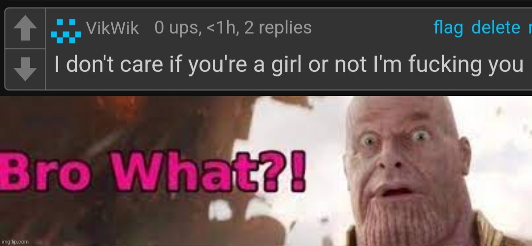 image tagged in i don't care if you're a girl or not i'm fucking you,thanos - bro what | made w/ Imgflip meme maker