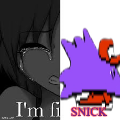 im fine | SNICK | image tagged in im fine | made w/ Imgflip meme maker