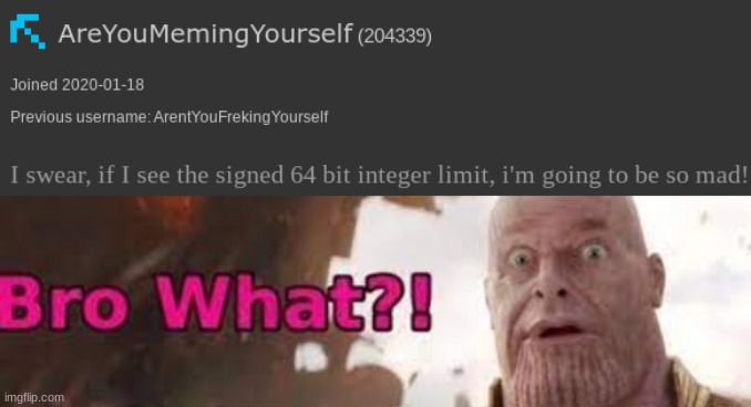 image tagged in thanos - bro what | made w/ Imgflip meme maker