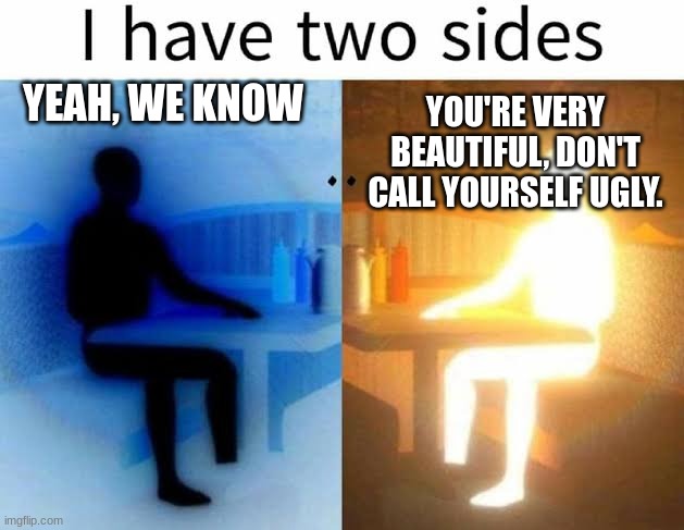 I have two sides | YEAH, WE KNOW YOU'RE VERY BEAUTIFUL, DON'T CALL YOURSELF UGLY. | image tagged in i have two sides | made w/ Imgflip meme maker