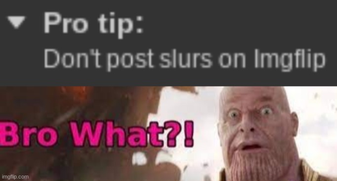 image tagged in thanos - bro what | made w/ Imgflip meme maker