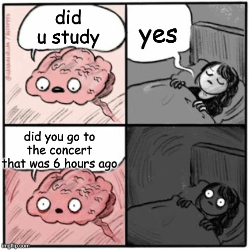 Brain Before Sleep | yes; did u study; did you go to the concert that was 6 hours ago | image tagged in brain before sleep | made w/ Imgflip meme maker