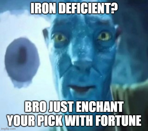 Avatar guy | IRON DEFICIENT? BRO JUST ENCHANT YOUR PICK WITH FORTUNE | image tagged in avatar guy | made w/ Imgflip meme maker