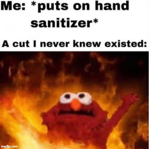 OH GOD, IT BURNS! AHHH- | image tagged in elmo fire,fire,funni | made w/ Imgflip meme maker