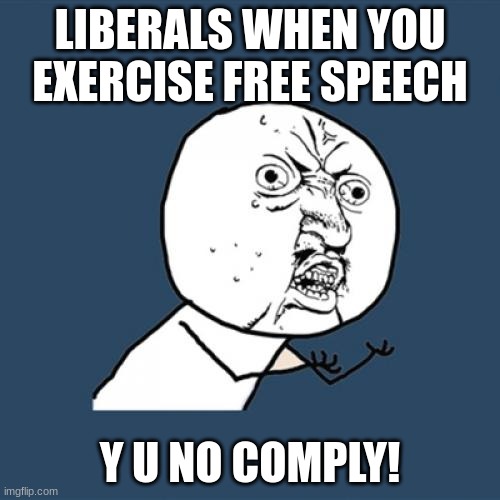 Free Speech | LIBERALS WHEN YOU EXERCISE FREE SPEECH; Y U NO COMPLY! | image tagged in memes,y u no | made w/ Imgflip meme maker