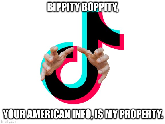 This on a political level makes so much sense | BIPPITY BOPPITY, YOUR AMERICAN INFO, IS MY PROPERTY. | image tagged in blank white template,tiktok,tiktok logo,tiktok sucks,meme,political meme | made w/ Imgflip meme maker