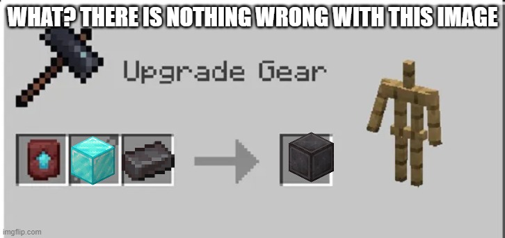 WHAT? THERE IS NOTHING WRONG WITH THIS IMAGE | image tagged in minecraft,memes | made w/ Imgflip meme maker