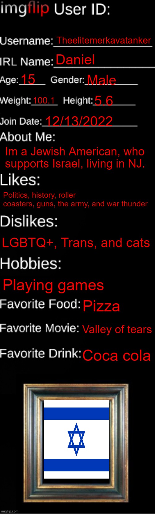 fun facts about me | Theelitemerkavatanker; Daniel; 15; Male; 100.1; 5.6; 12/13/2022; Im a Jewish American, who supports Israel, living in NJ. Politics, history, roller coasters, guns, the army, and war thunder; LGBTQ+, Trans, and cats; Playing games; Pizza; Valley of tears; Coca cola | image tagged in imgflip id card | made w/ Imgflip meme maker