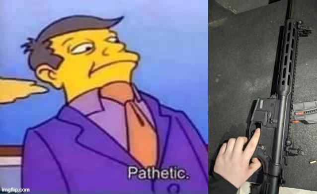 skinner pathetic | image tagged in skinner pathetic | made w/ Imgflip meme maker