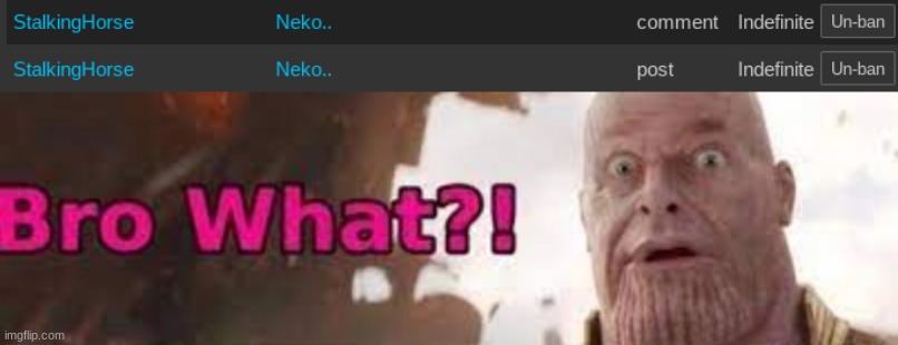 image tagged in thanos - bro what | made w/ Imgflip meme maker