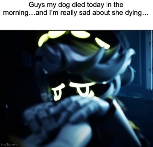 :( (comfort me please…) | image tagged in depressed n,dogs,sad | made w/ Imgflip meme maker