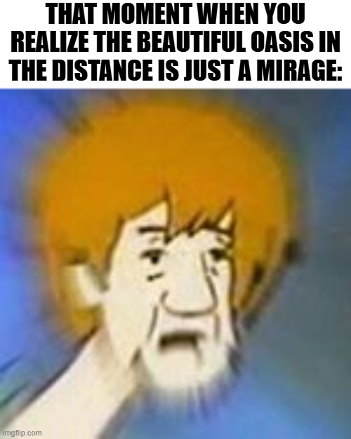 Never get lost in the Desert... | THAT MOMENT WHEN YOU REALIZE THE BEAUTIFUL OASIS IN THE DISTANCE IS JUST A MIRAGE: | image tagged in shaggy dank meme,mirage,desert,oasis,dank memes | made w/ Imgflip meme maker