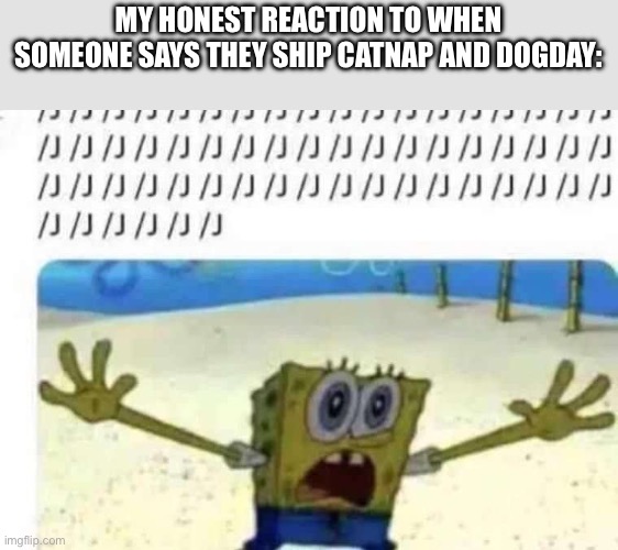 I hate the game. The fandom I hate more. | MY HONEST REACTION TO WHEN SOMEONE SAYS THEY SHIP CATNAP AND DOGDAY: | image tagged in spongebob slash j | made w/ Imgflip meme maker