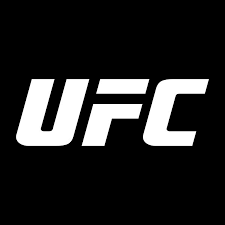 High Quality UFC logo Blank Meme Template