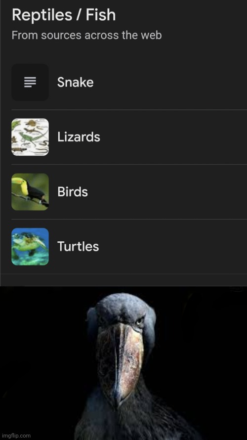 Reptiles/Fish | image tagged in shoebill bird,birds,reptiles,fish,you had one job,memes | made w/ Imgflip meme maker