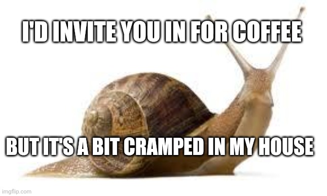 SNAIL | I'D INVITE YOU IN FOR COFFEE; BUT IT'S A BIT CRAMPED IN MY HOUSE | image tagged in snail | made w/ Imgflip meme maker