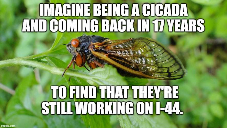 cicada hwy 44 | IMAGINE BEING A CICADA AND COMING BACK IN 17 YEARS; TO FIND THAT THEY'RE STILL WORKING ON I-44. | image tagged in cicada hwy 44 | made w/ Imgflip meme maker